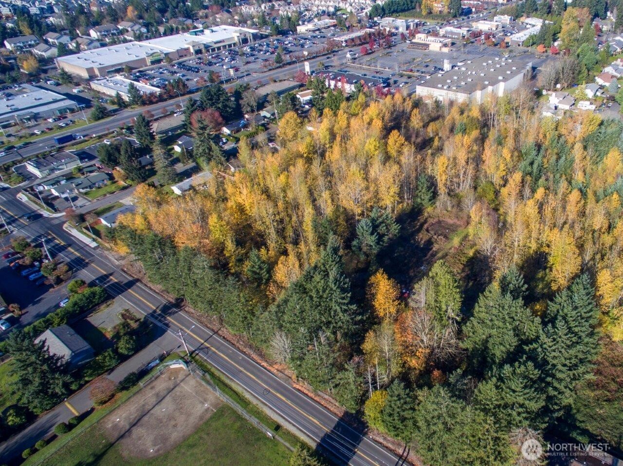 10313 136th Street Property Photo 6