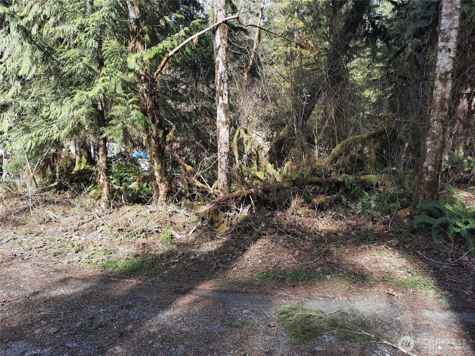 8535 Beaver Place Property Photo 7