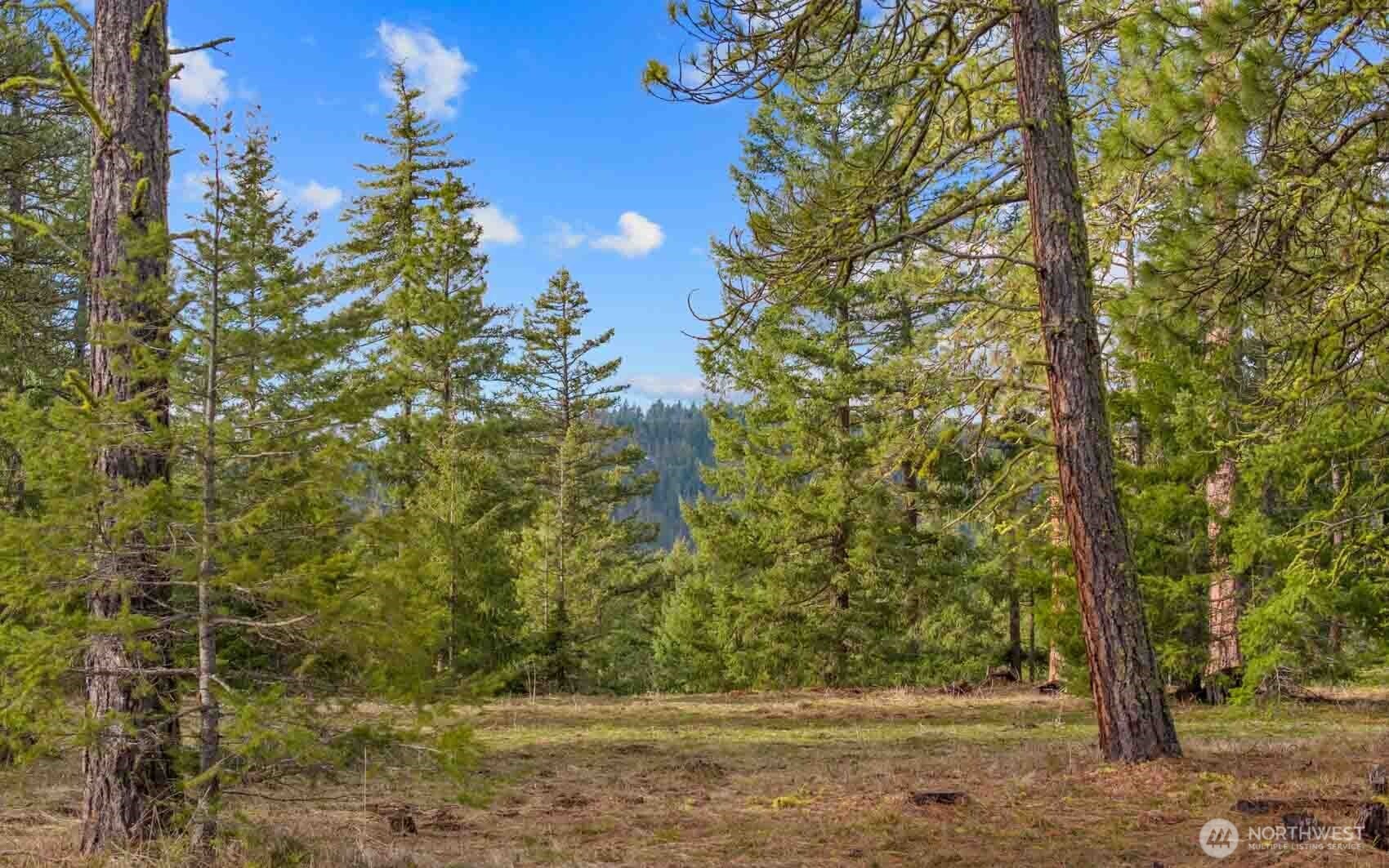 20 Wanawish Loop Property Photo 20