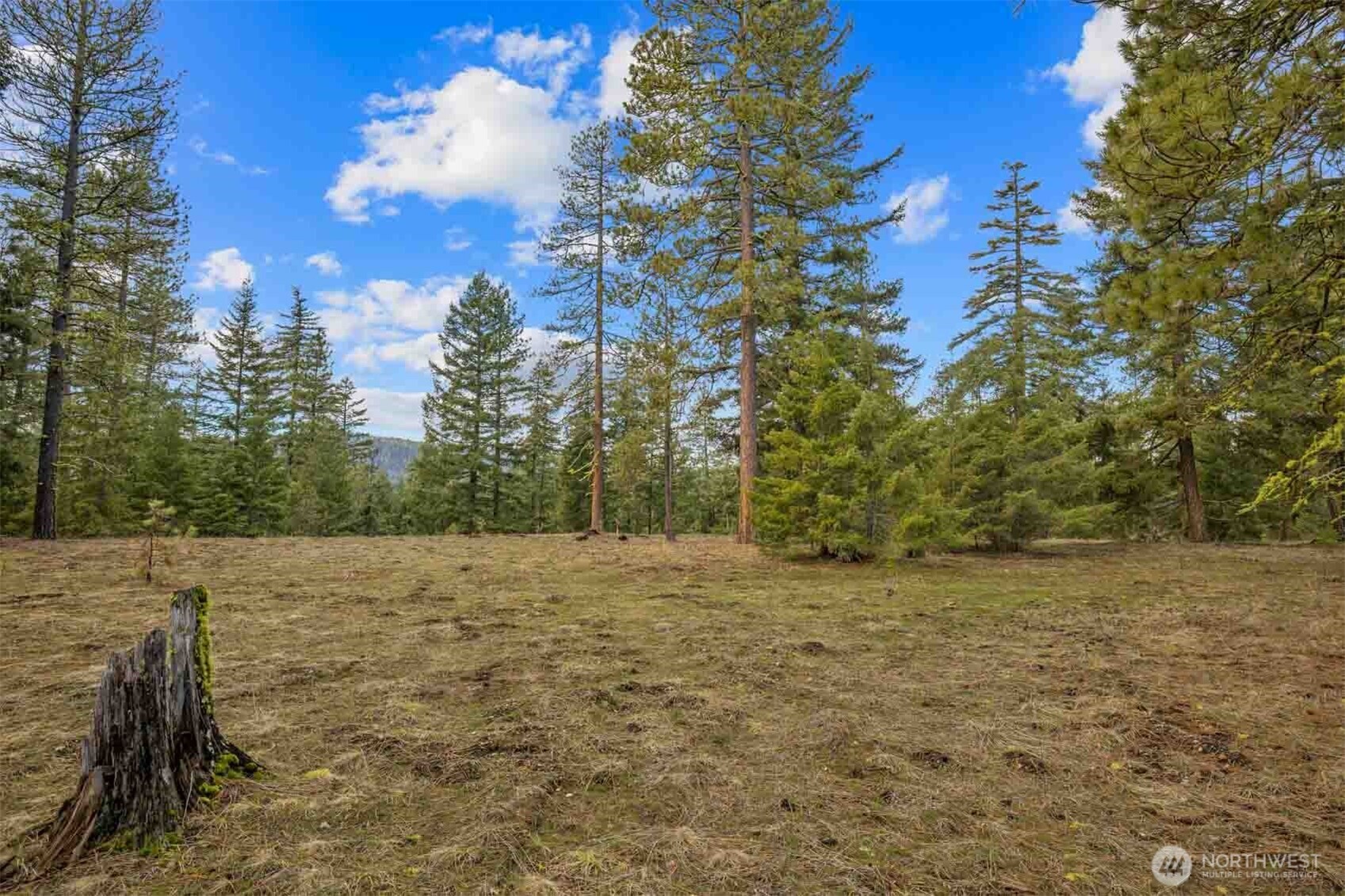 20 Wanawish Loop Property Photo 21