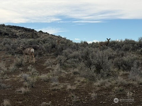 0 Stirrup Pl Property Photo 1