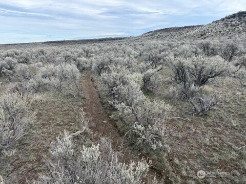 0 Stirrup Pl Property Photo 15
