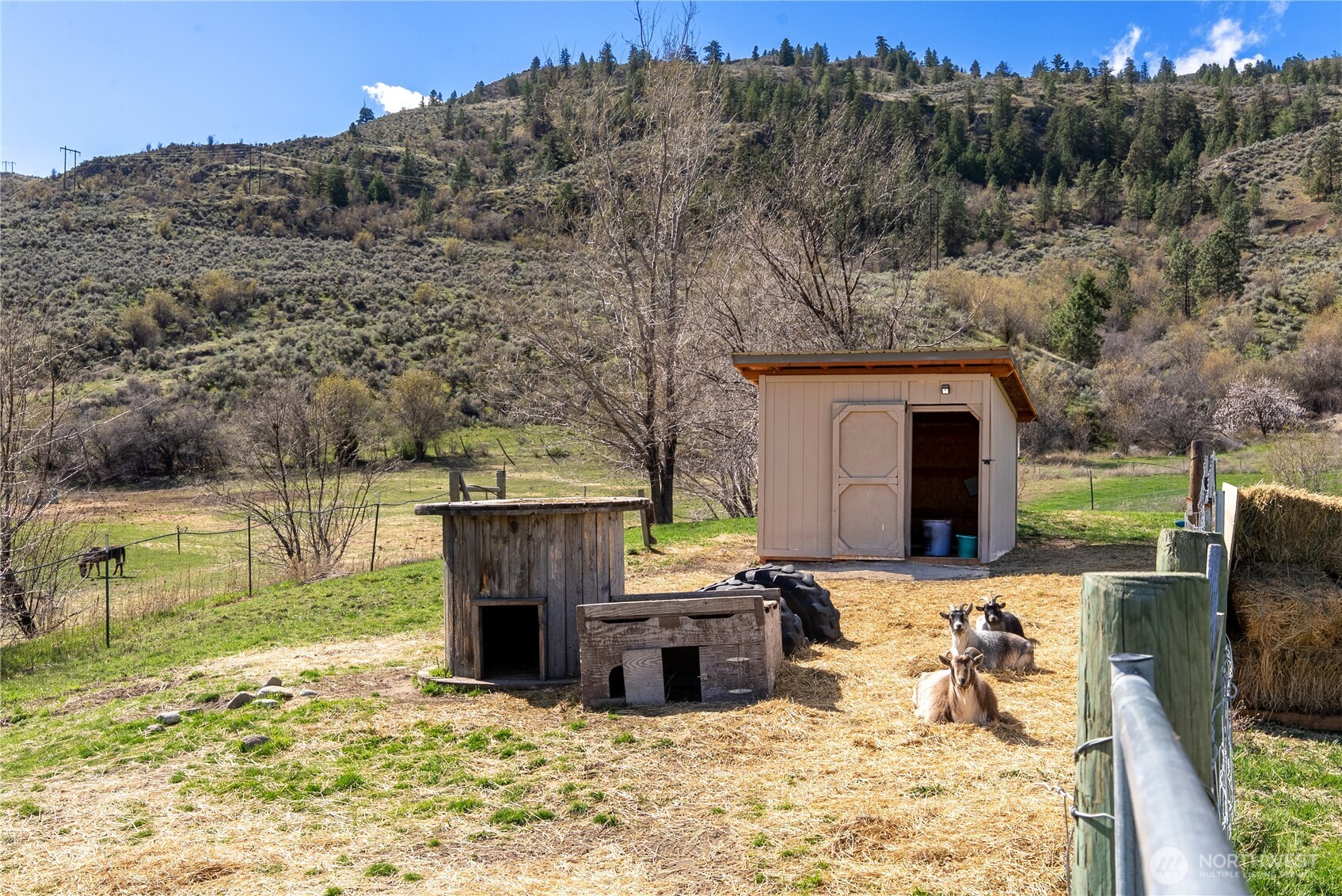 31 Rooster Flats Property Photo 37