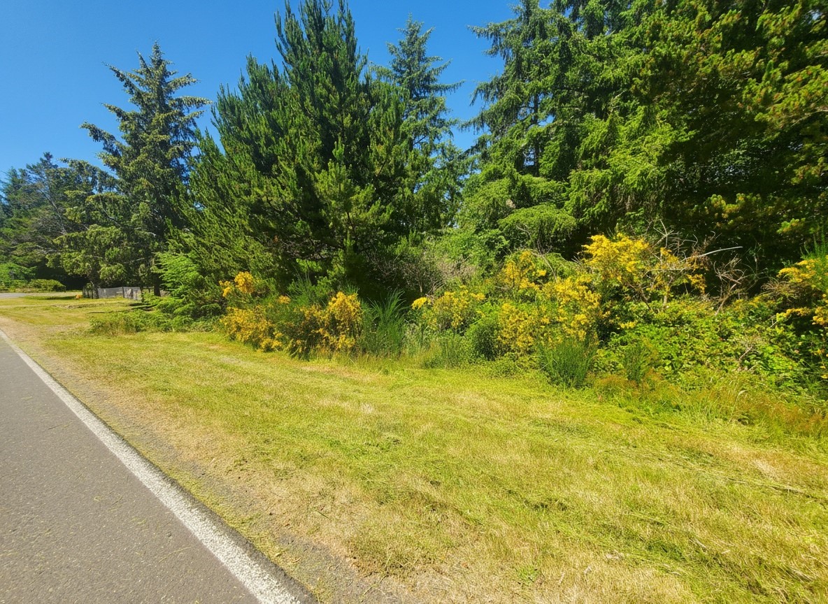 1000 Mt.olympus Avenue Property Photo 31