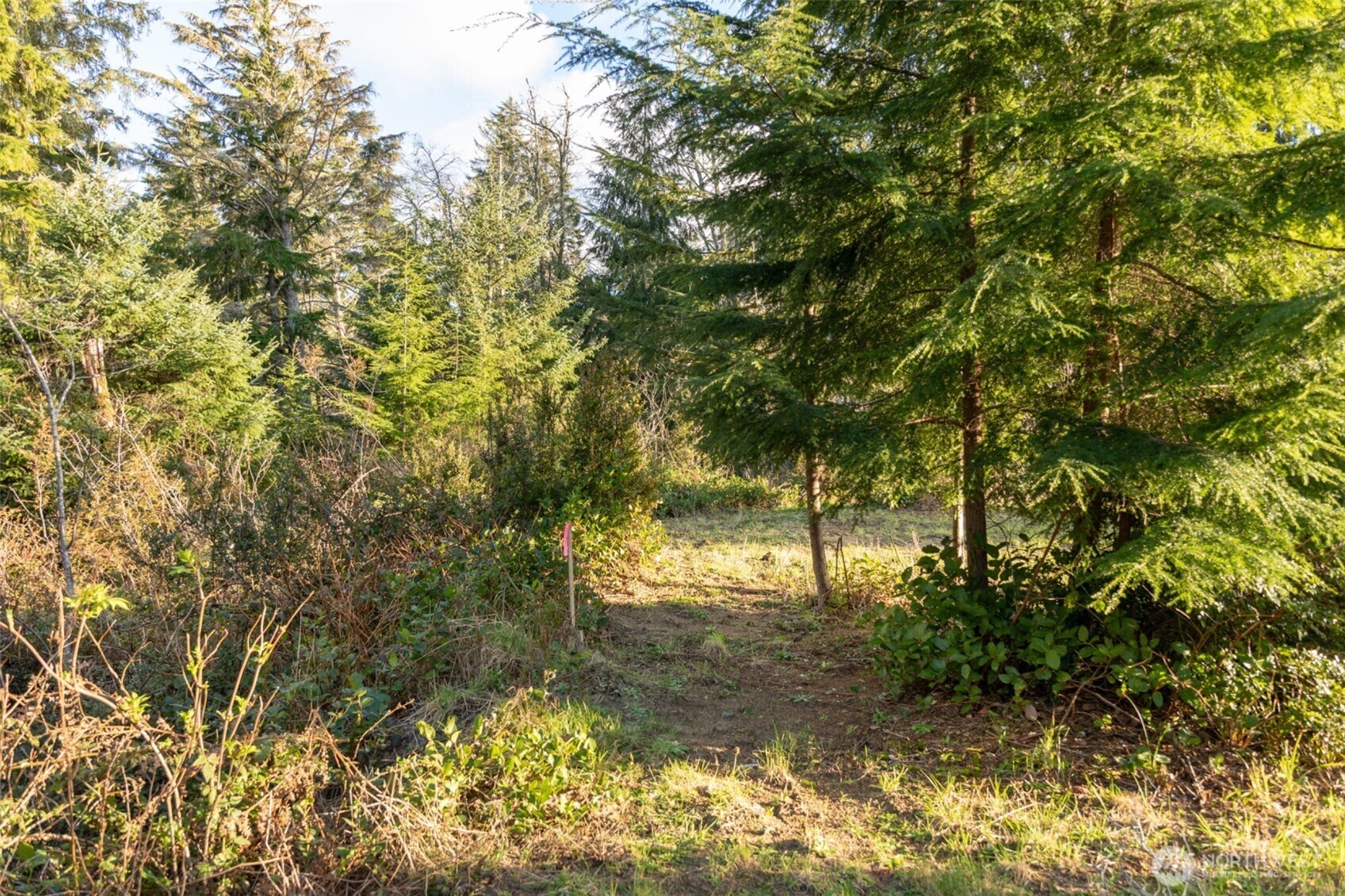 22308 Sandridge Road Property Photo 15