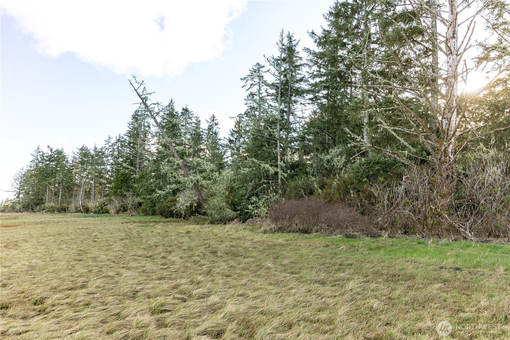 22308 Sandridge Road Property Photo 19