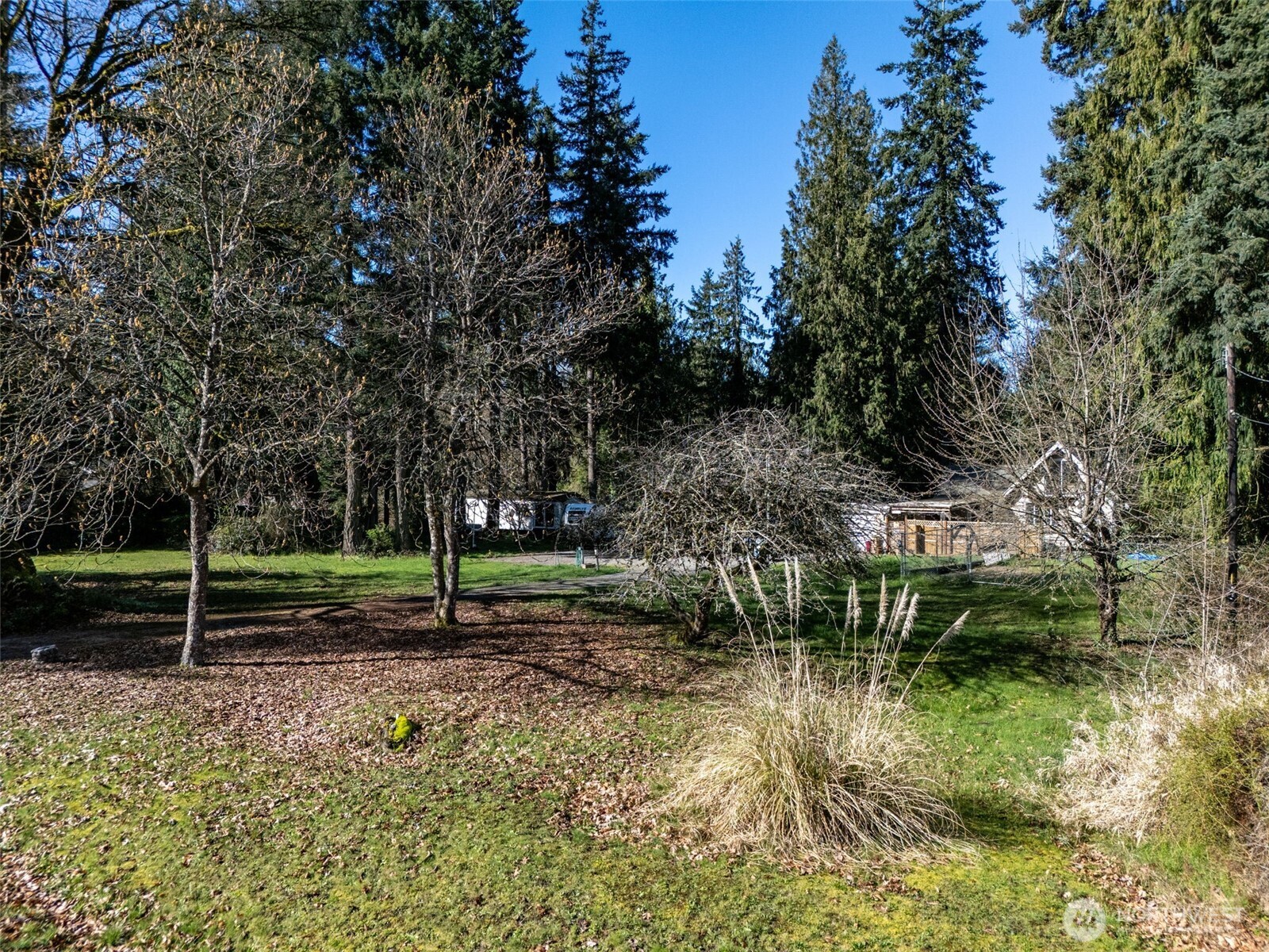 14508 50th Avenue Property Photo 4