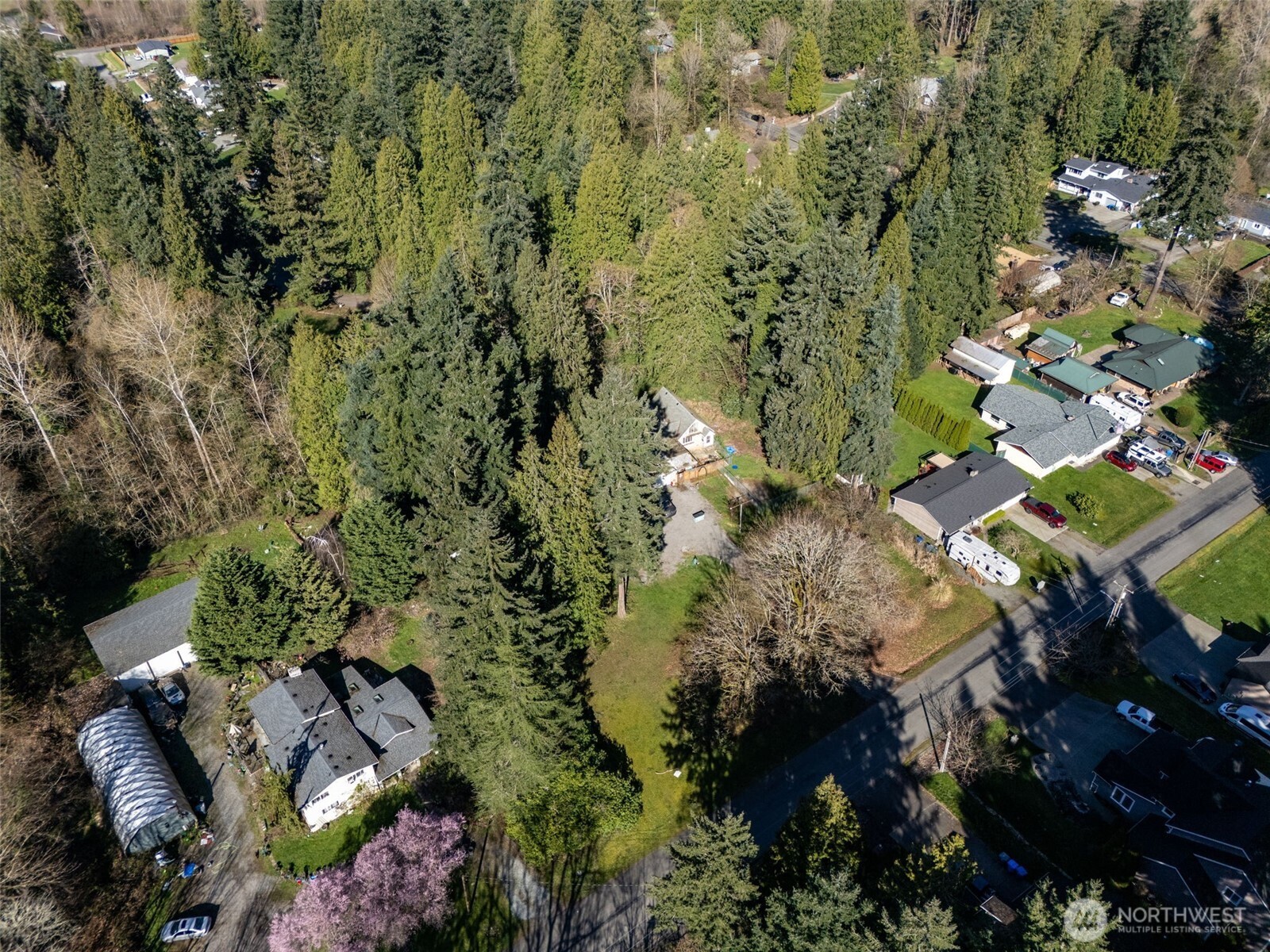 14508 50th Avenue Property Photo 8