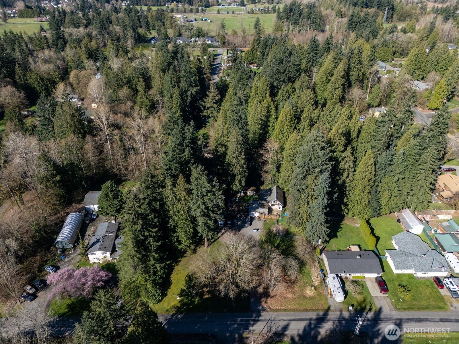 14508 50th Avenue Property Photo 9