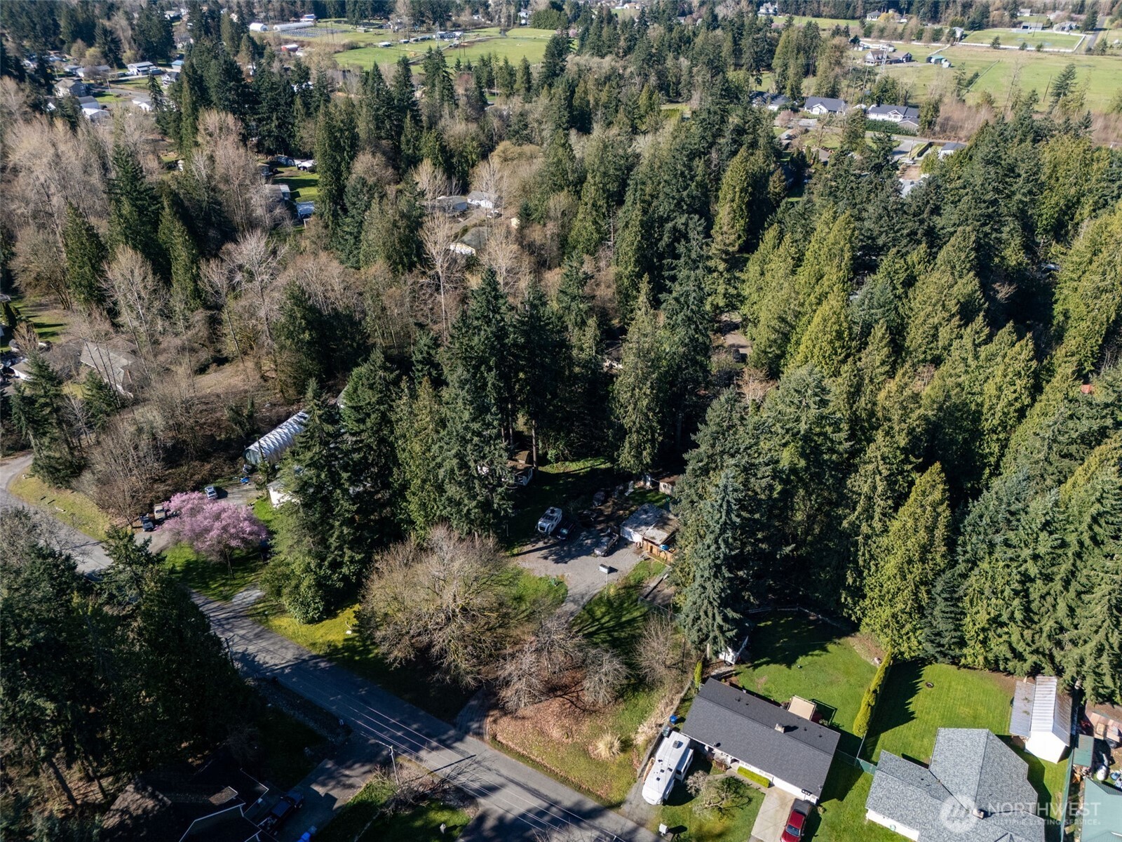 14508 50th Avenue Property Photo 10