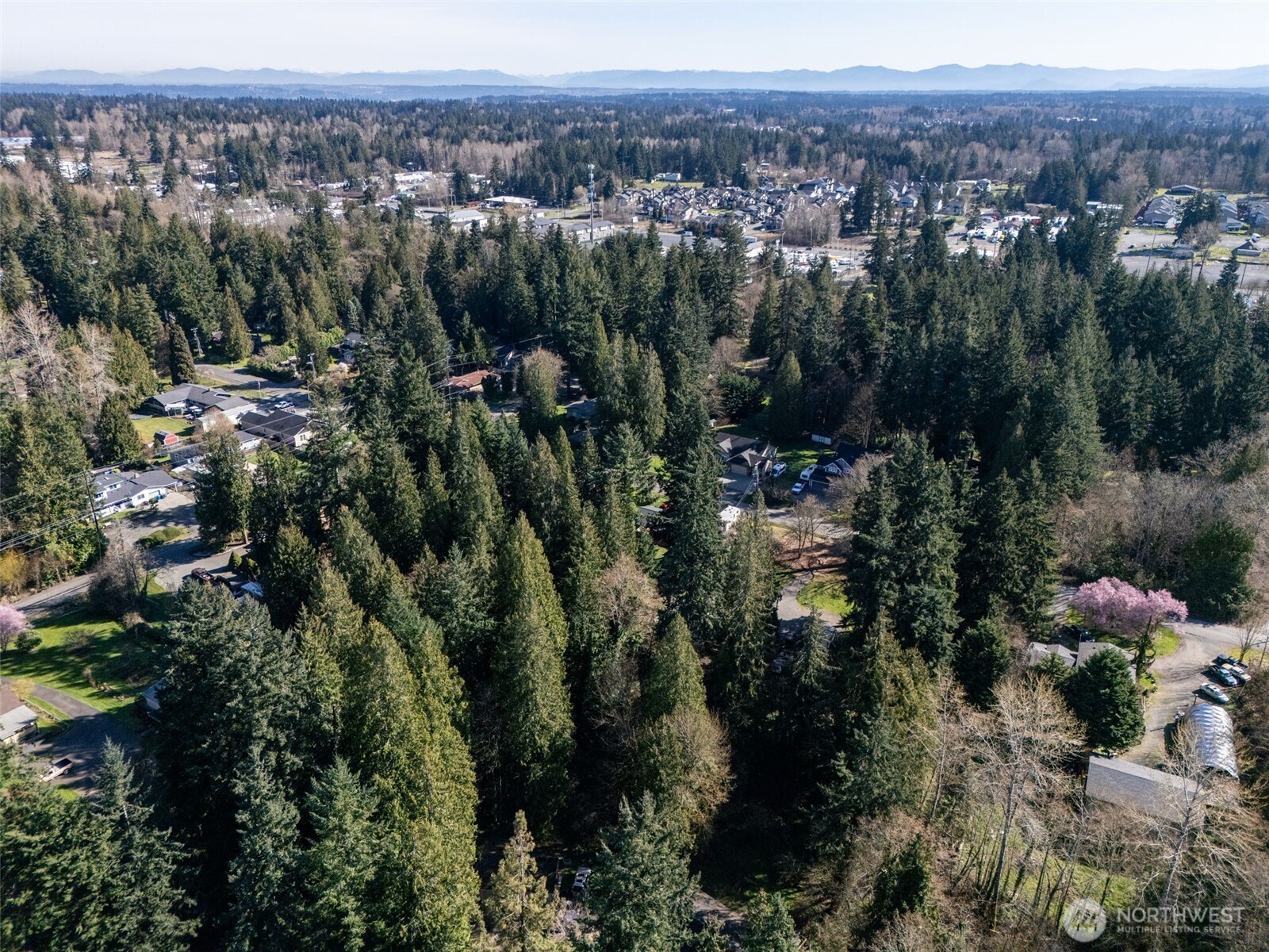 14508 50th Avenue Property Photo 12
