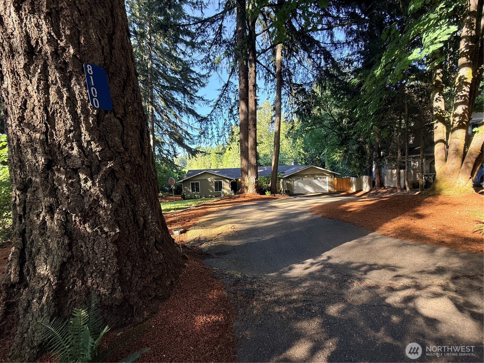 8100 Run Drive Property Photo 3
