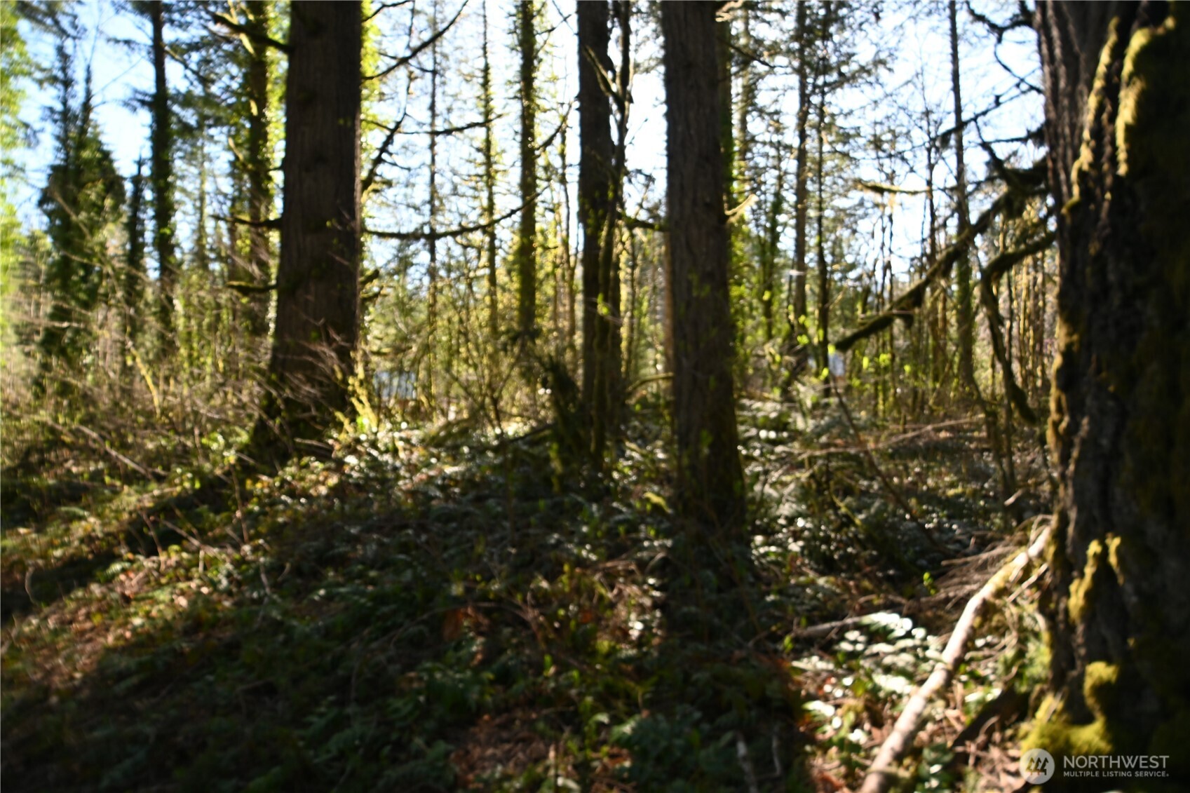 0 Old Cascade Hwy Property Photo 1