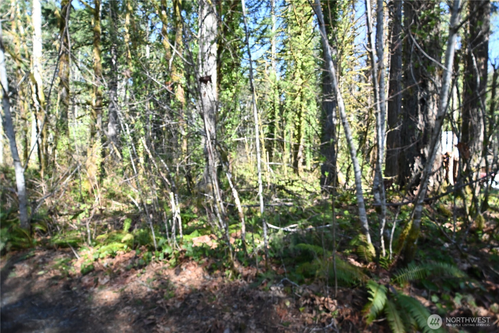 0 Old Cascade Hwy Property Photo 4