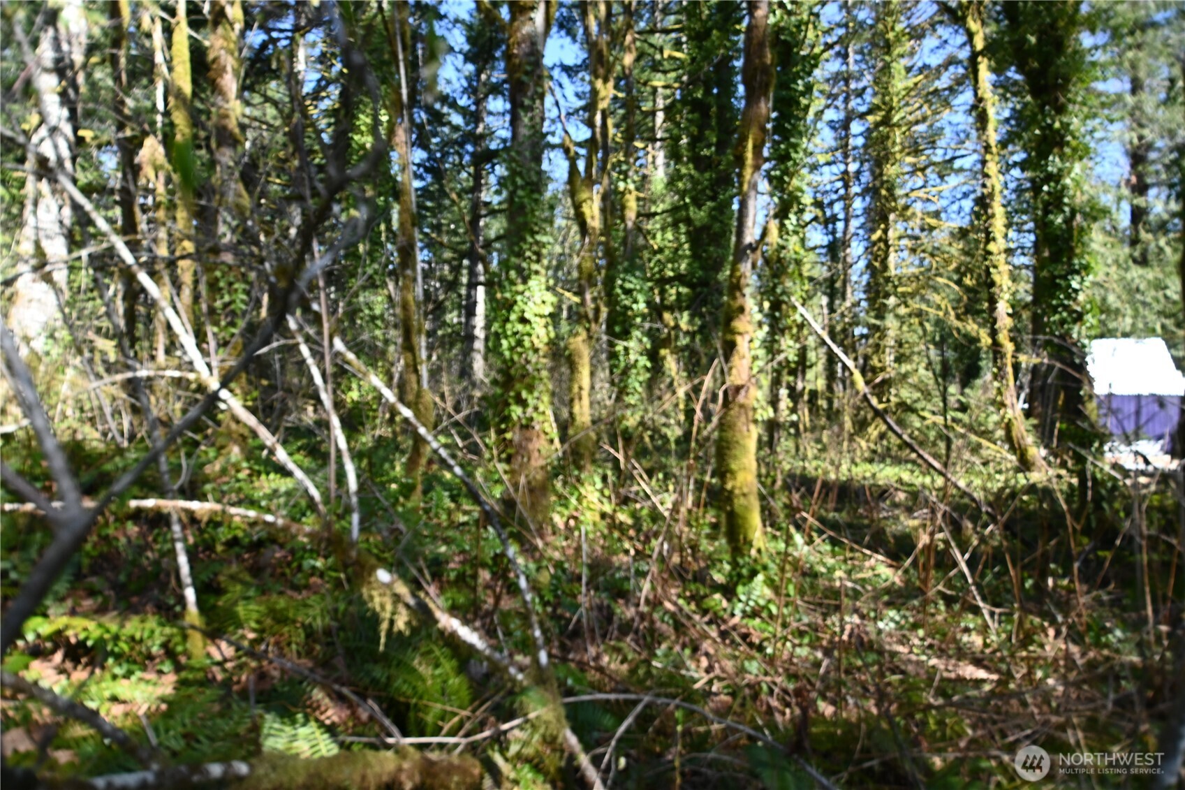 0 Old Cascade Hwy Property Photo 5