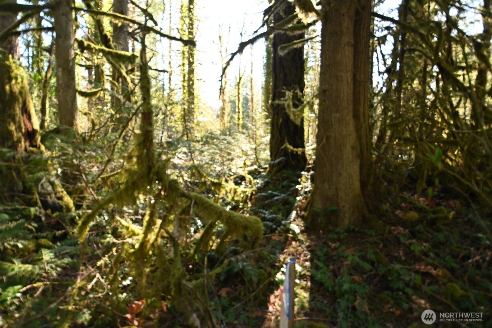 0 Old Cascade Hwy Property Photo 7