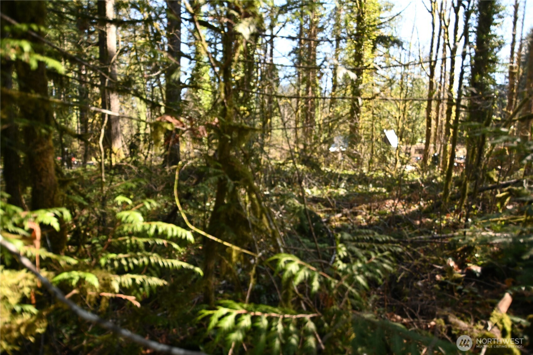 0 Old Cascade Hwy Property Photo 8