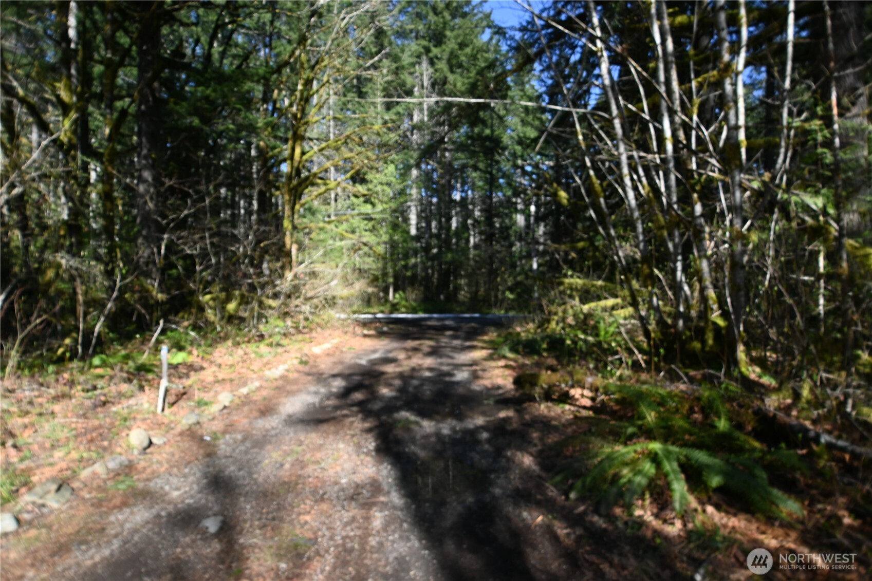 0 Old Cascade Hwy Property Photo 9