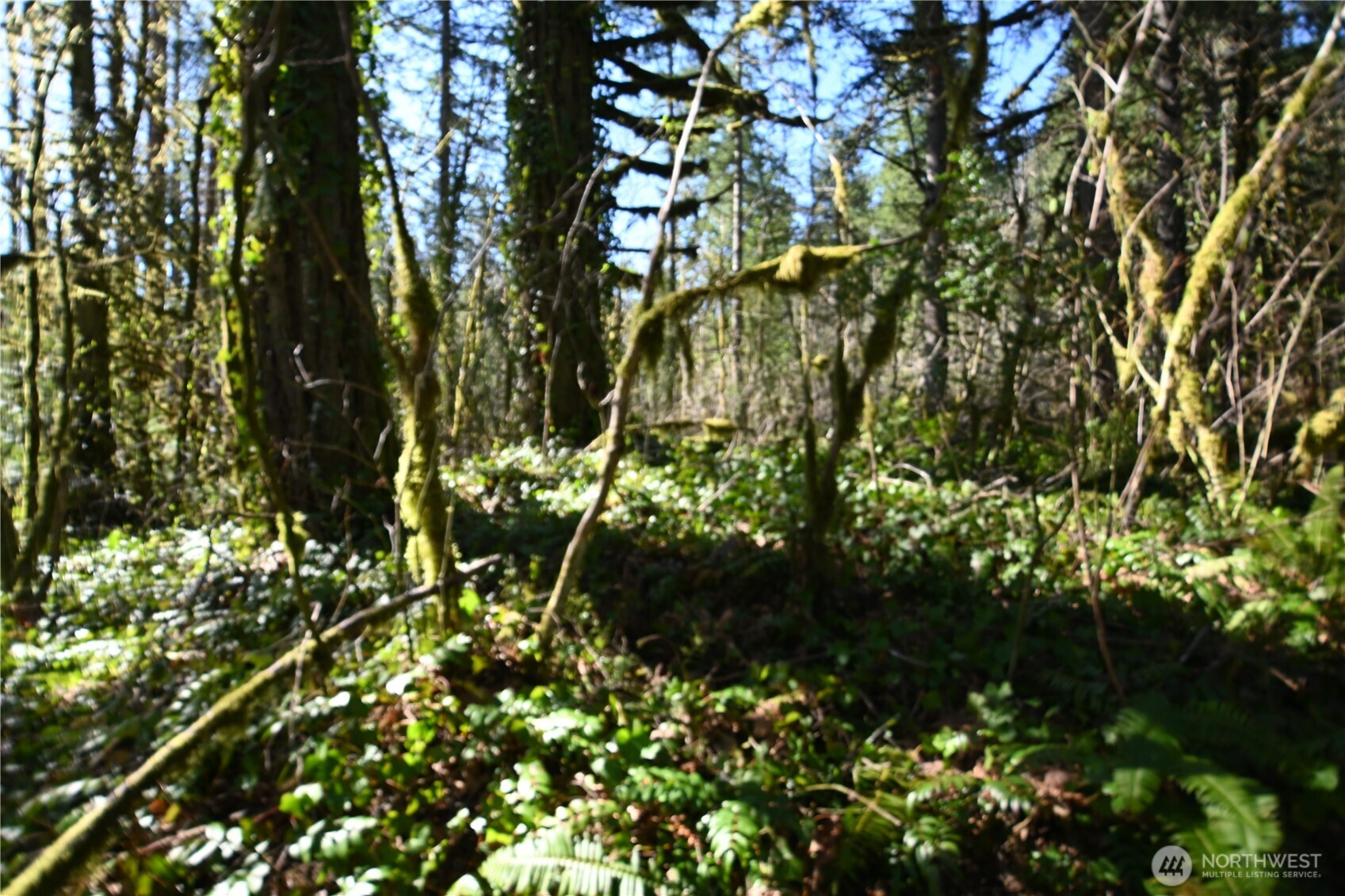 0 Old Cascade Hwy Property Photo 10