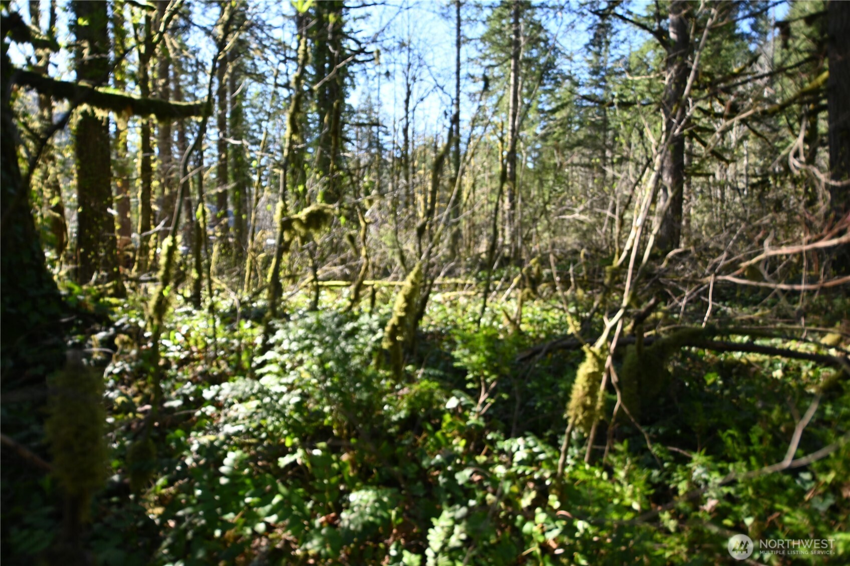 0 Old Cascade Hwy Property Photo 11