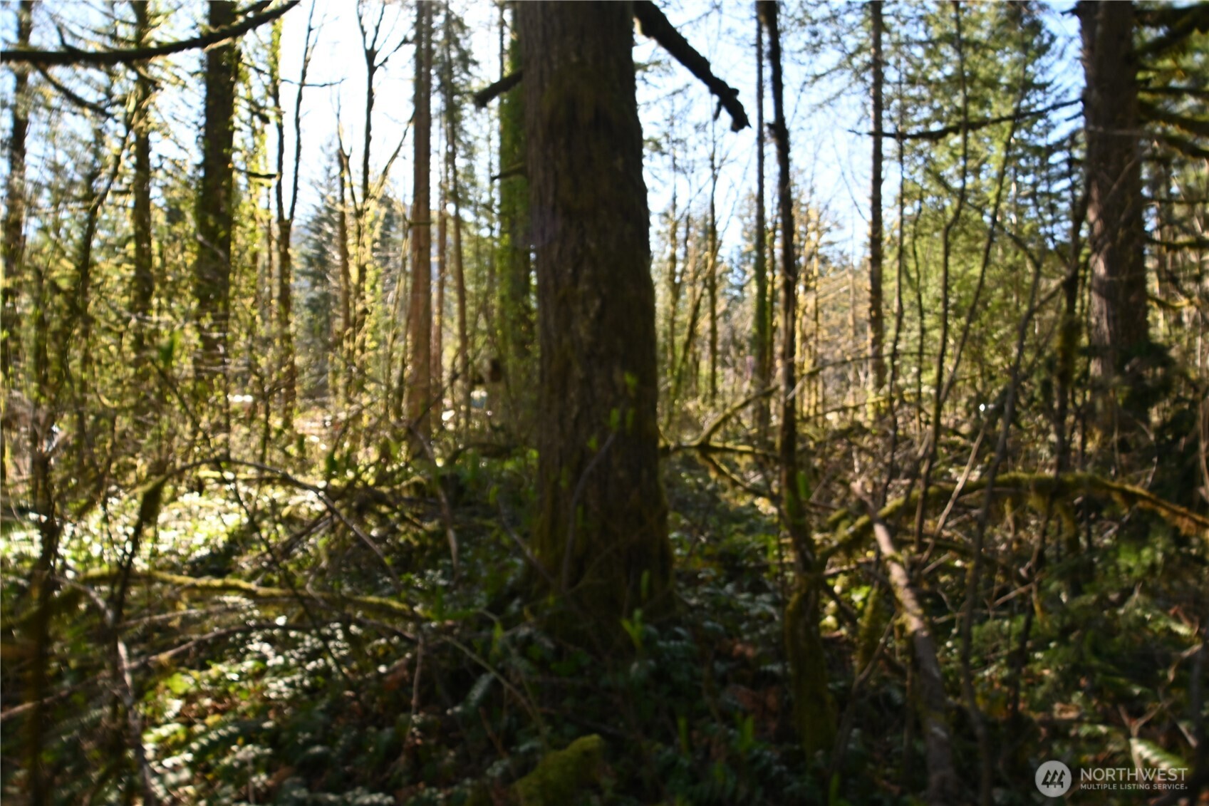 0 Old Cascade Hwy Property Photo 13