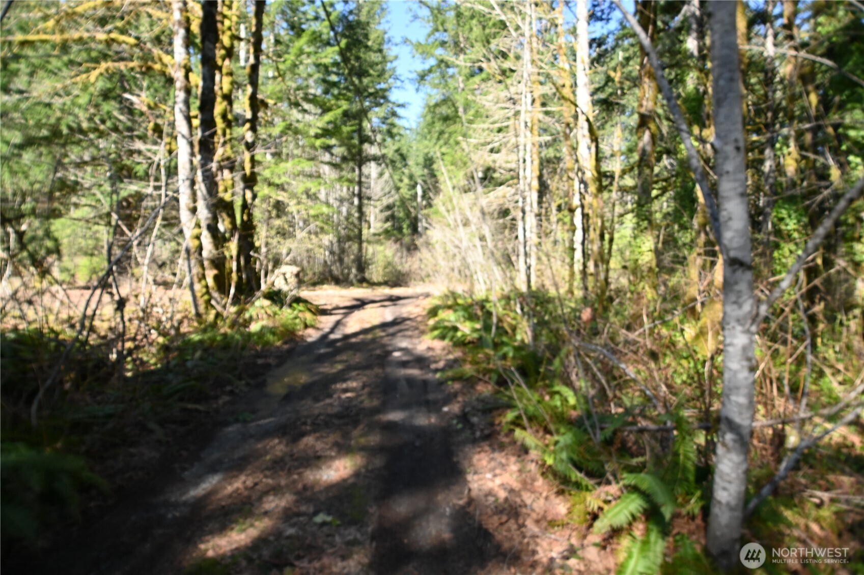 0 Old Cascade Hwy Property Photo 15