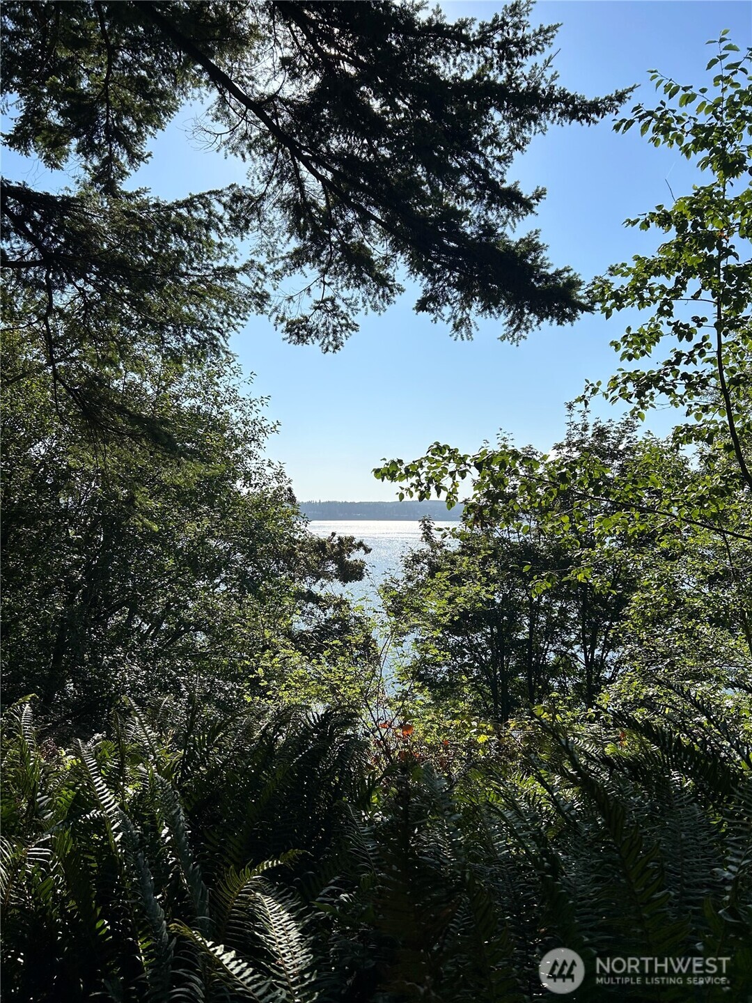 111 Seven Sisters Beach Property Photo 8