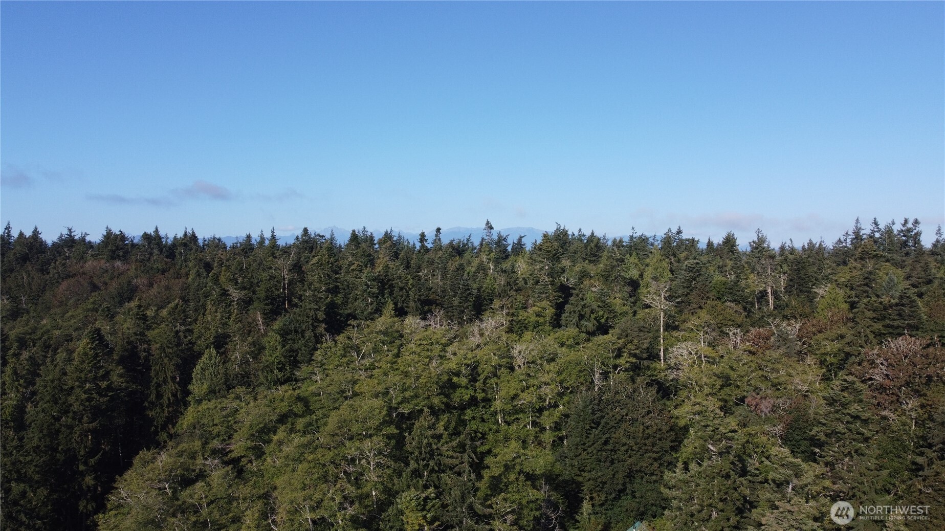 111 Seven Sisters Beach Property Photo 12