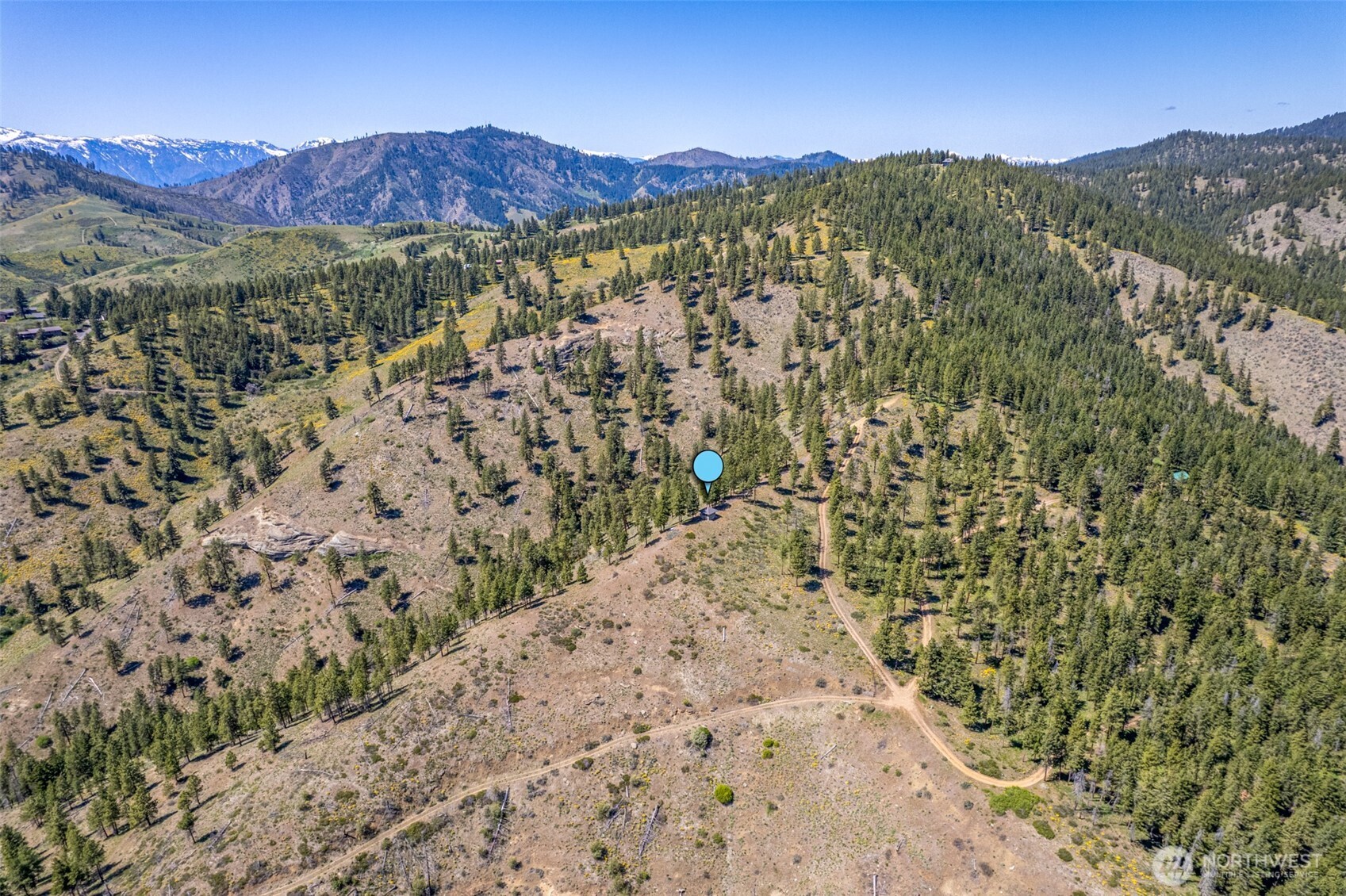 1021 Chicken Farm Lane Property Photo 17