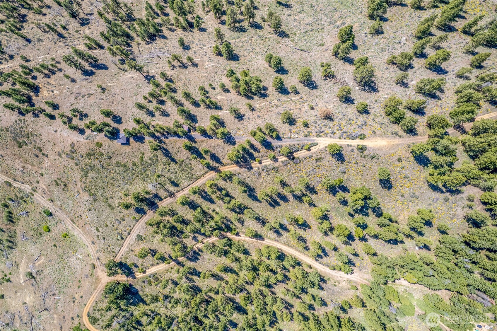 1021 Chicken Farm Lane Property Photo 35