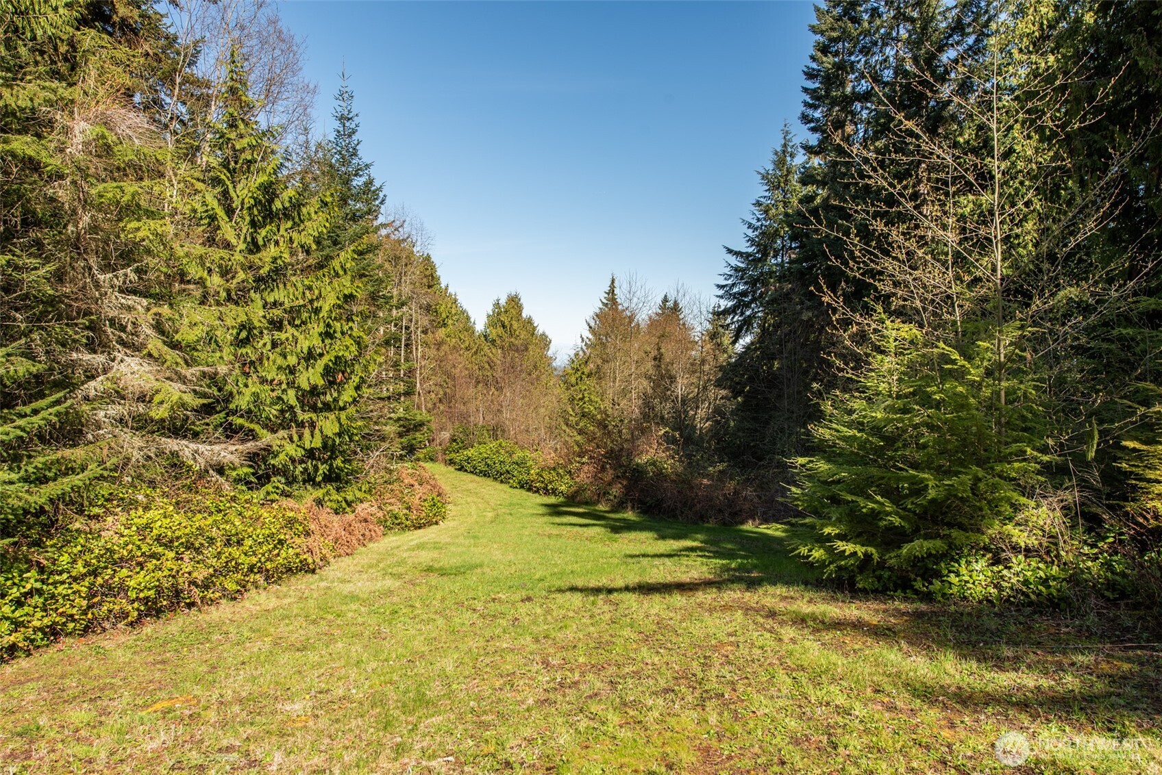 997 Old Olympic Highway Property Photo 40