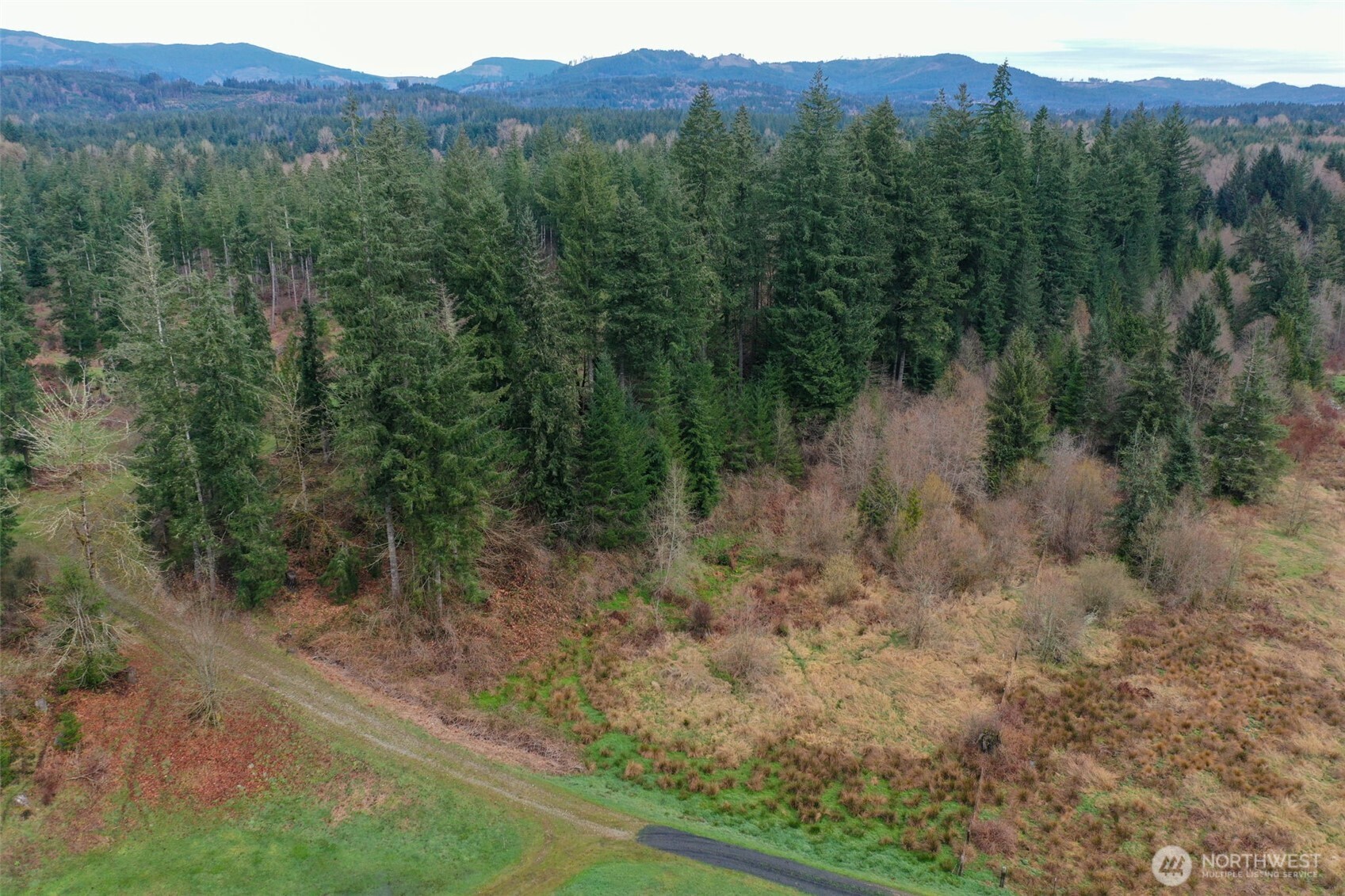 7128 115th Avenue Property Photo 16
