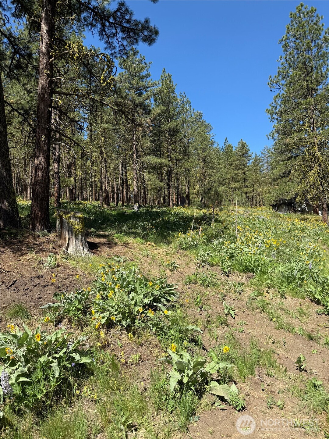 305 Sunrise Way Property Photo 11