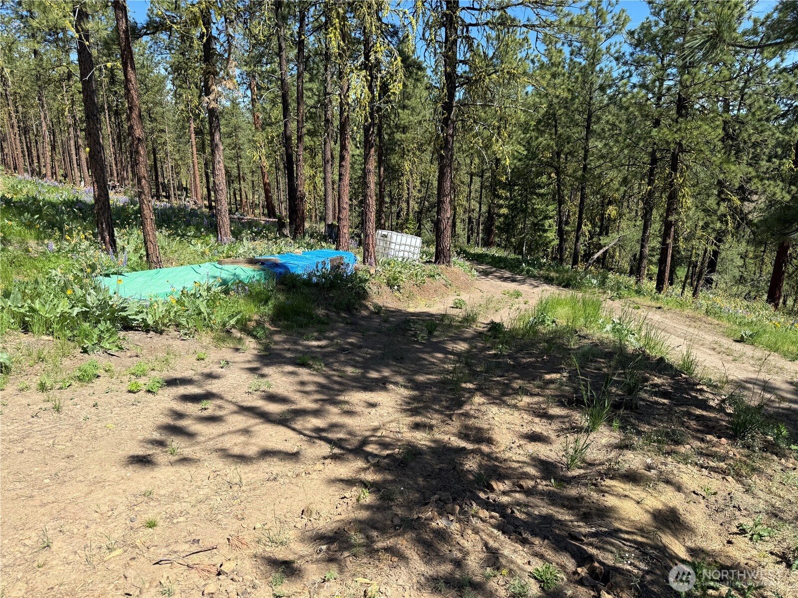 305 Sunrise Way Property Photo 16