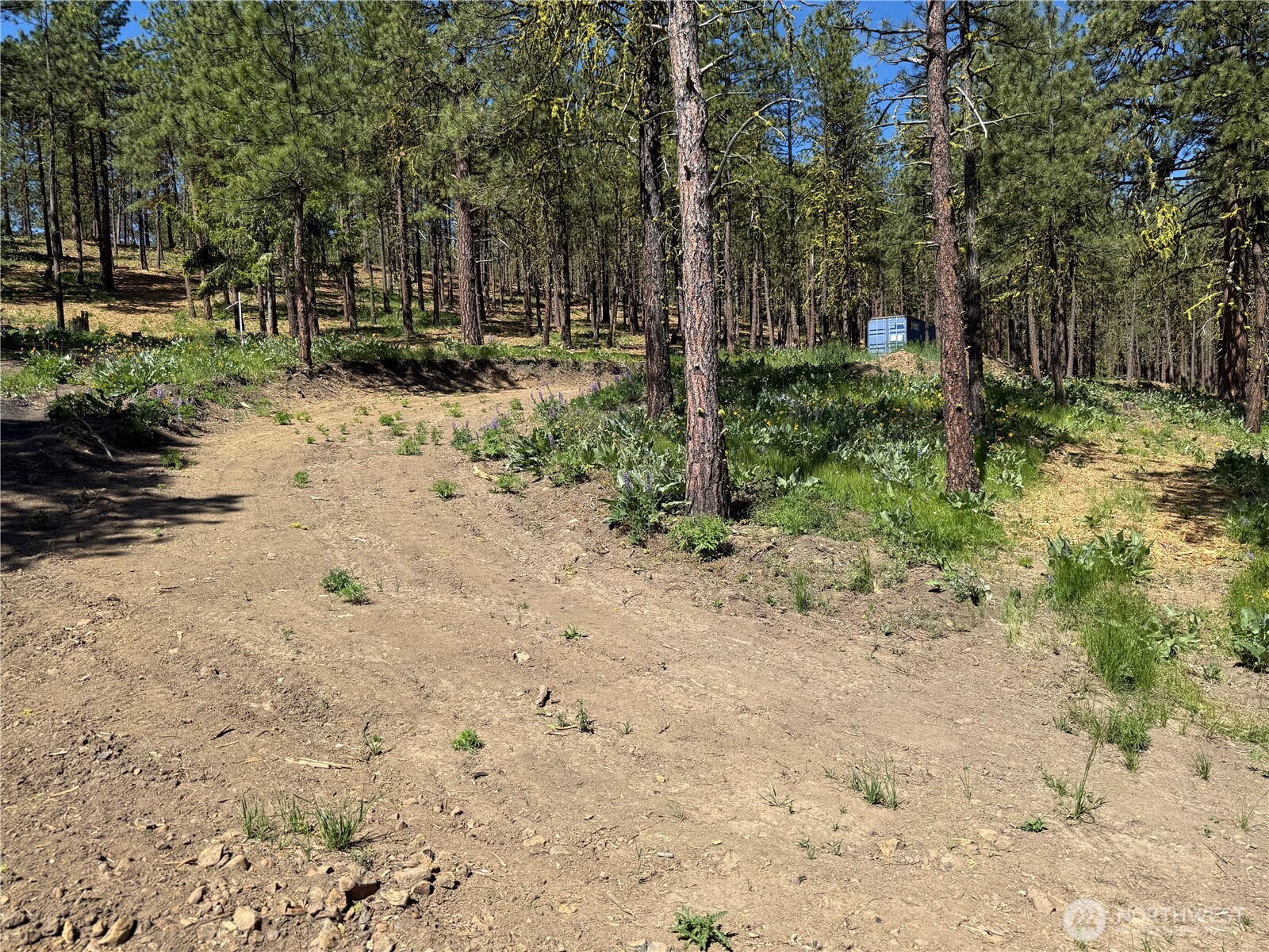 305 Sunrise Way Property Photo 17