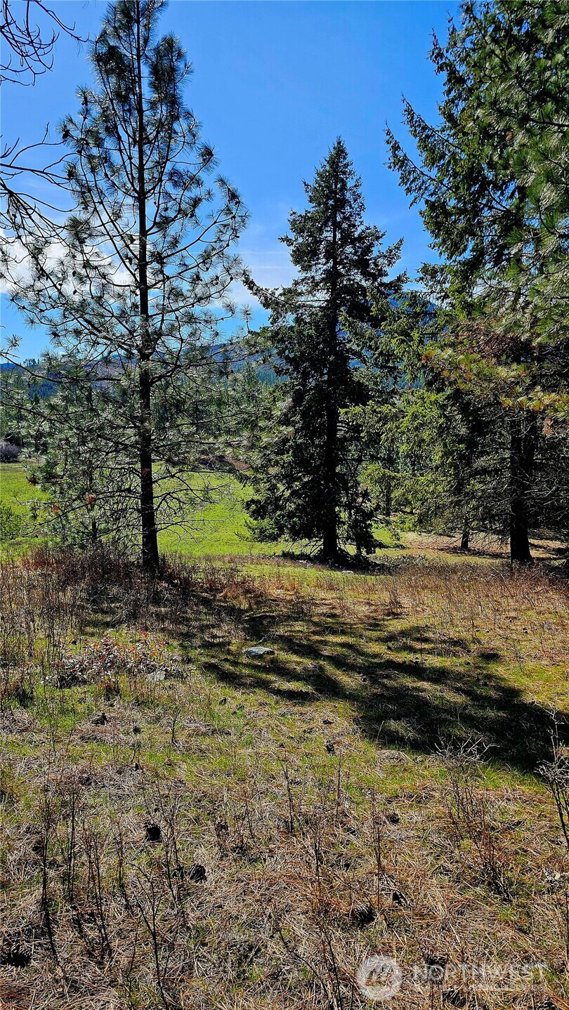2068 Addy-gifford Road Property Photo 5