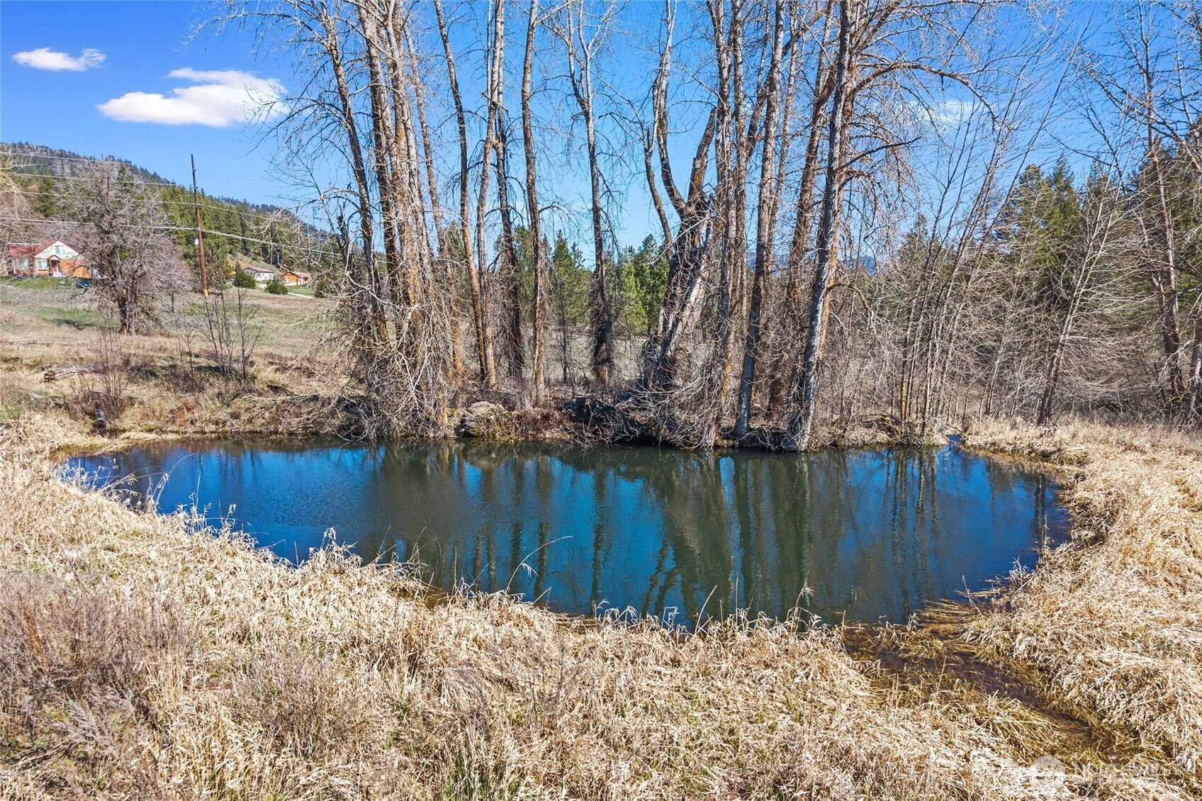2068 Addy-gifford Road Property Photo 6