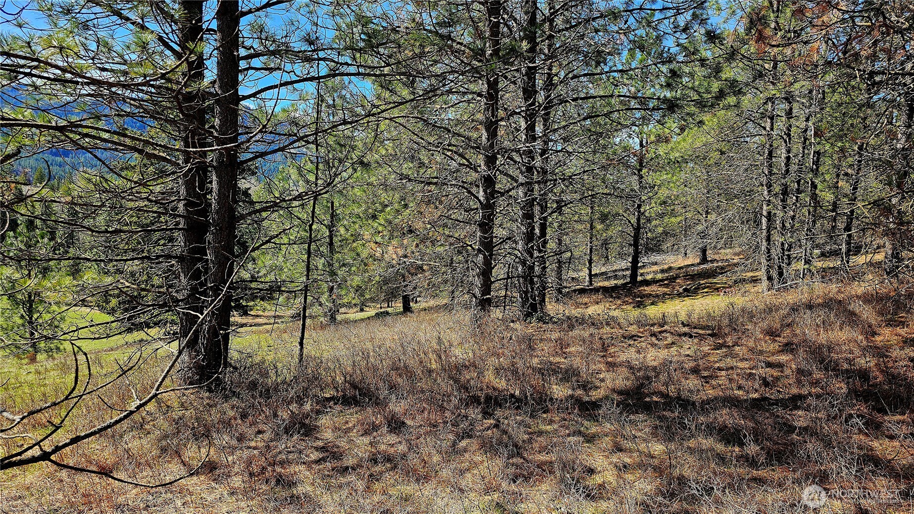 2068 Addy-gifford Road Property Photo 11