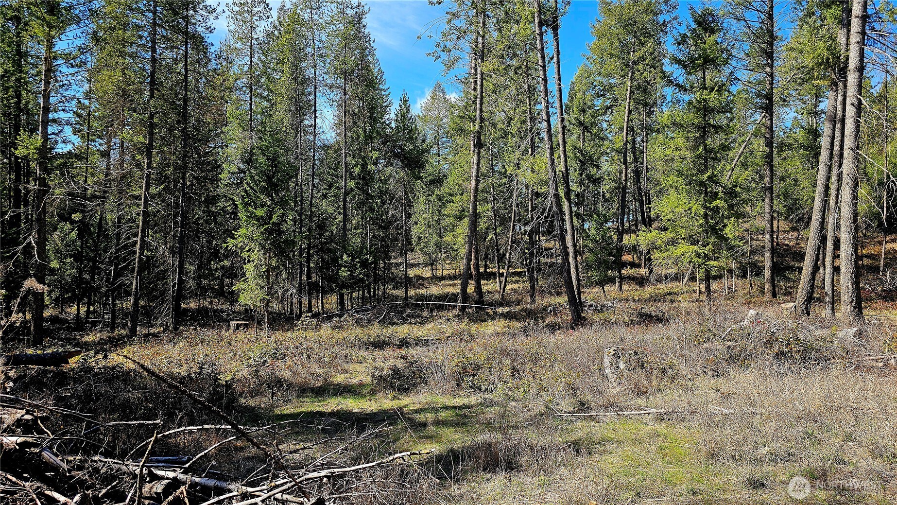 2068 Addy-gifford Road Property Photo 15
