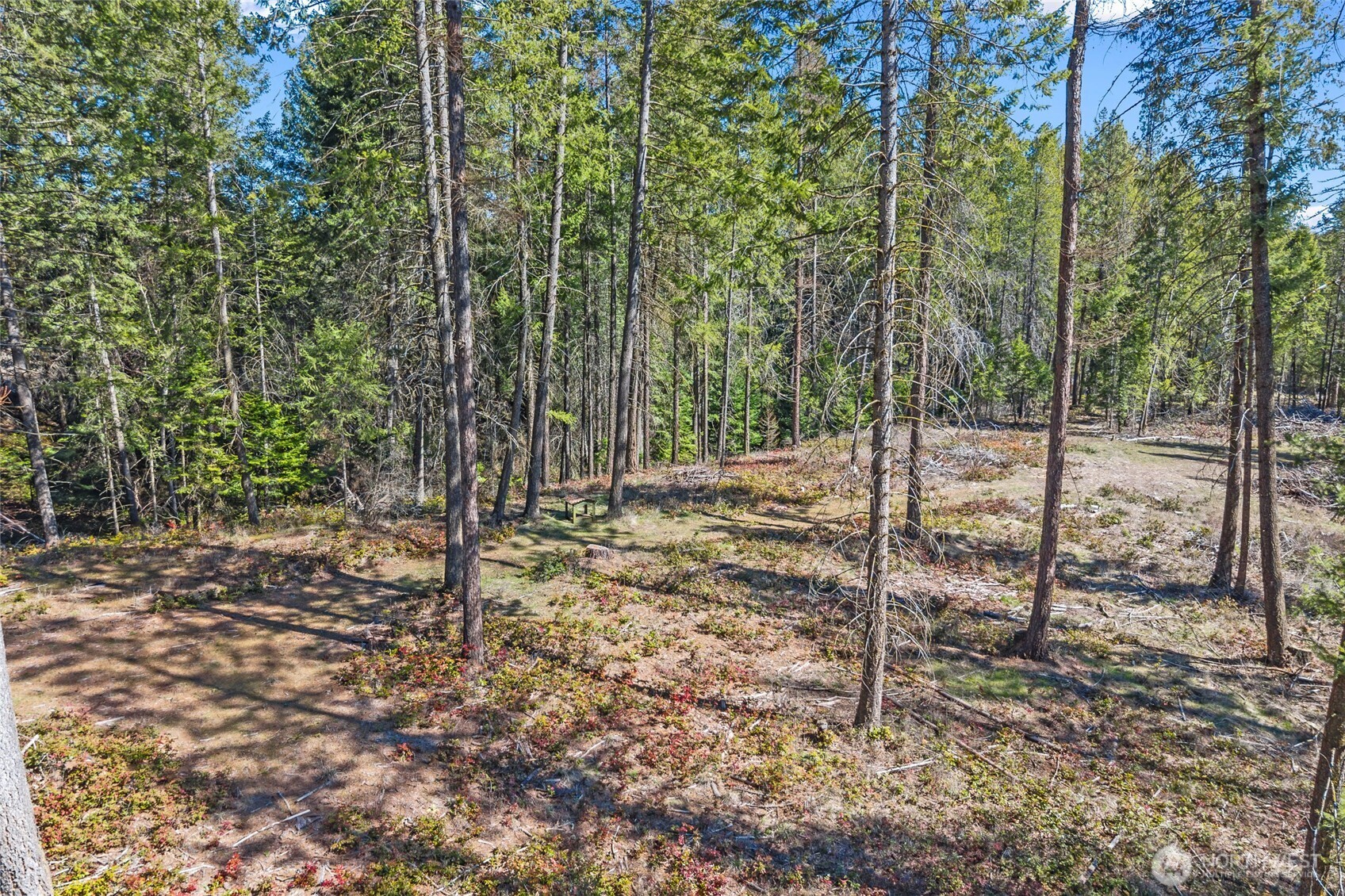 2068 Addy-gifford Road Property Photo 29
