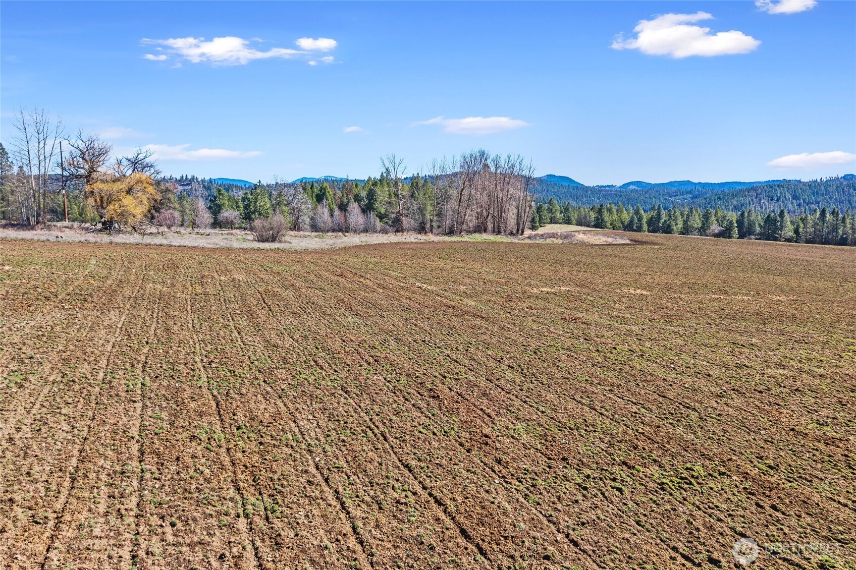 2068 Addy-gifford Road Property Photo 30