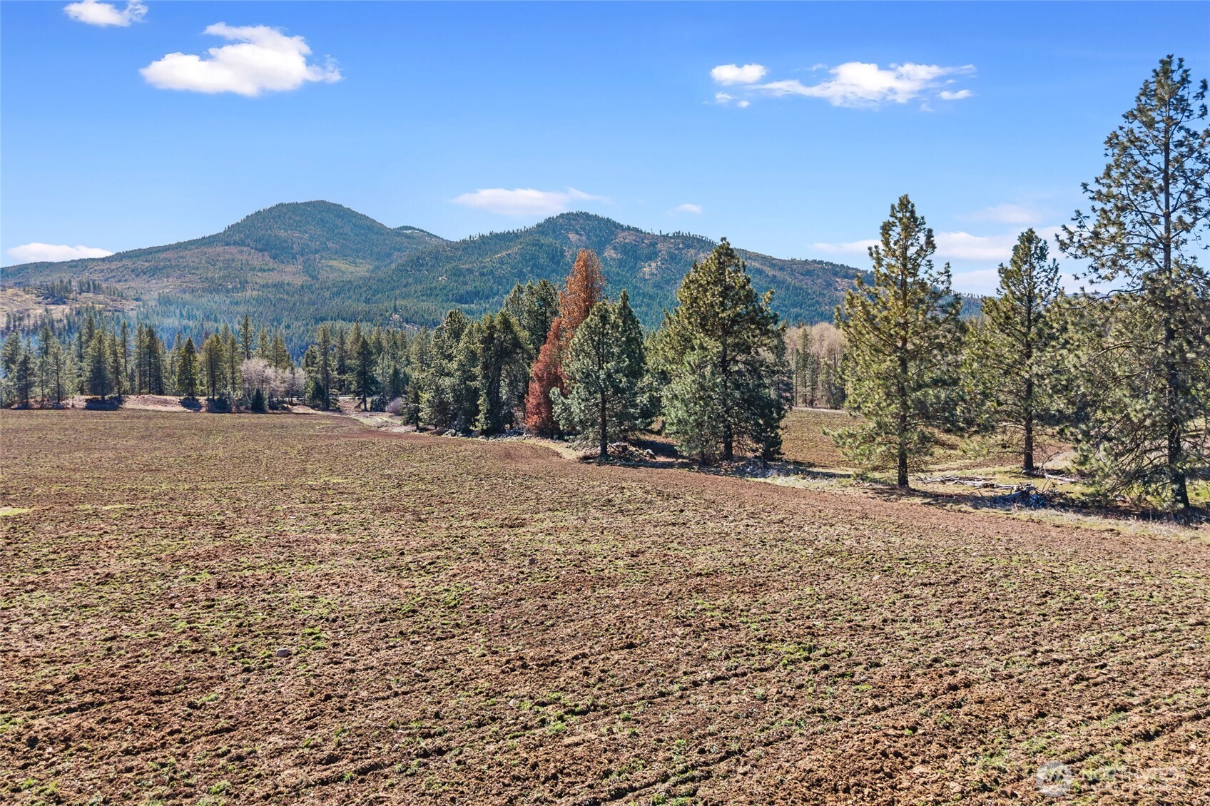 2068 Addy-gifford Road Property Photo 31