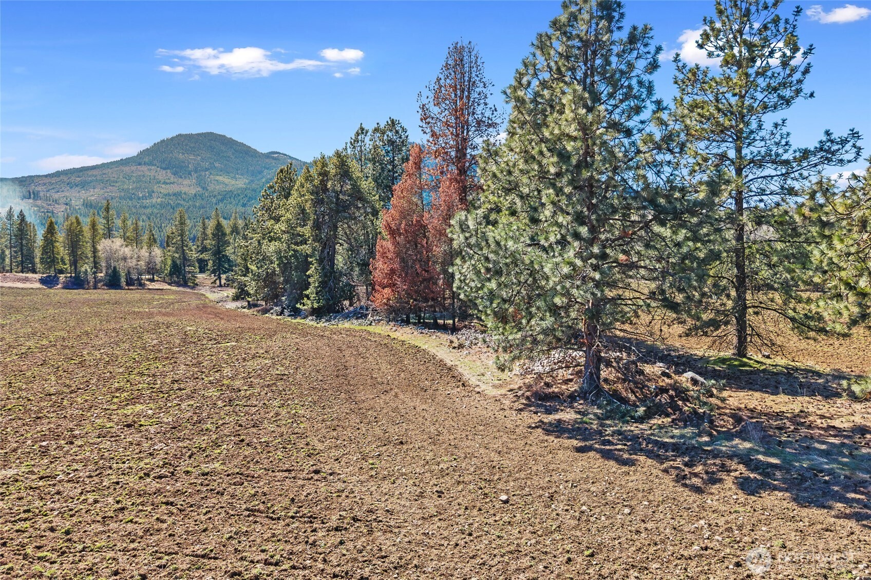 2068 Addy-gifford Road Property Photo 34