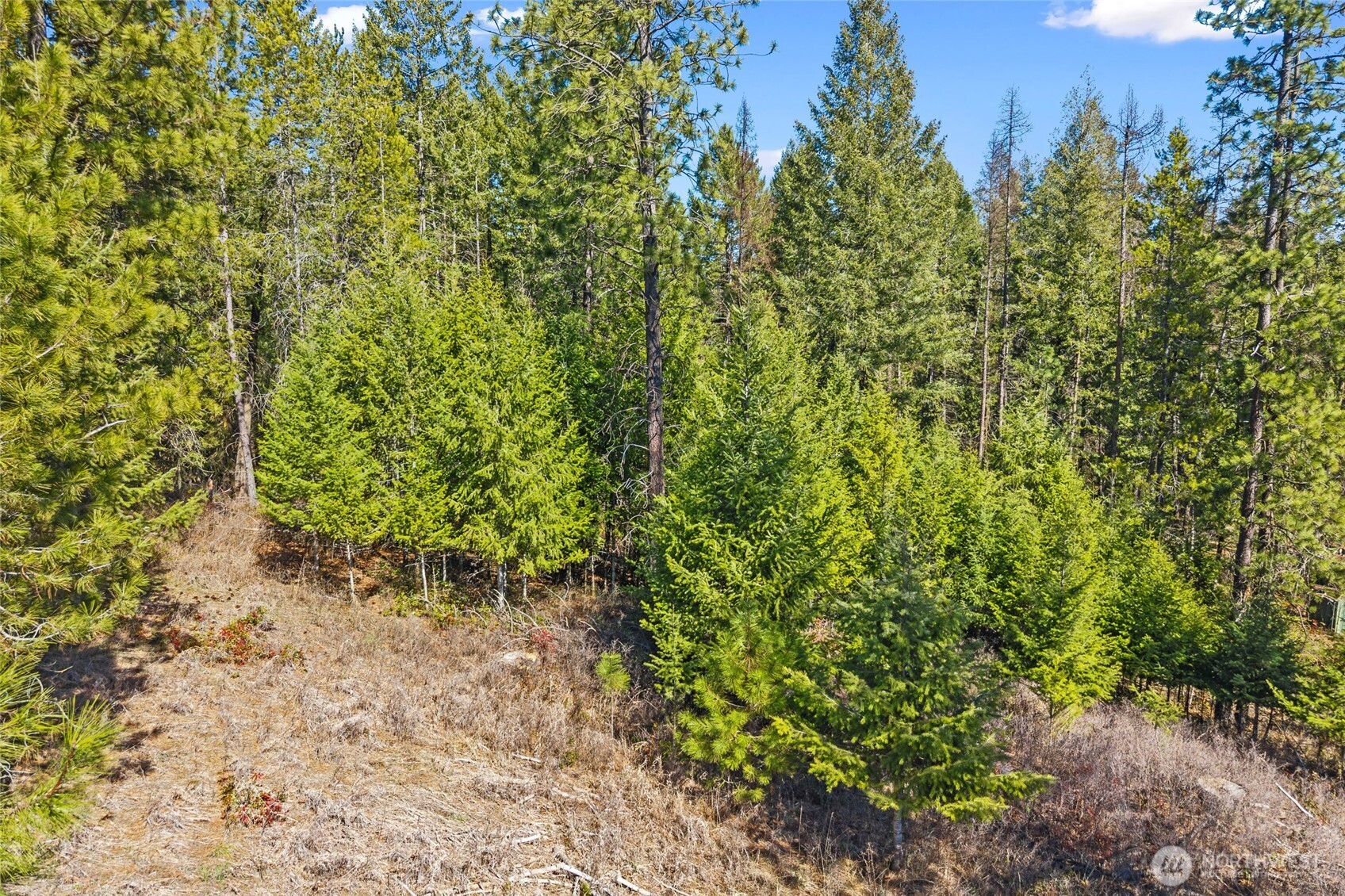 2068 Addy-gifford Road Property Photo 37