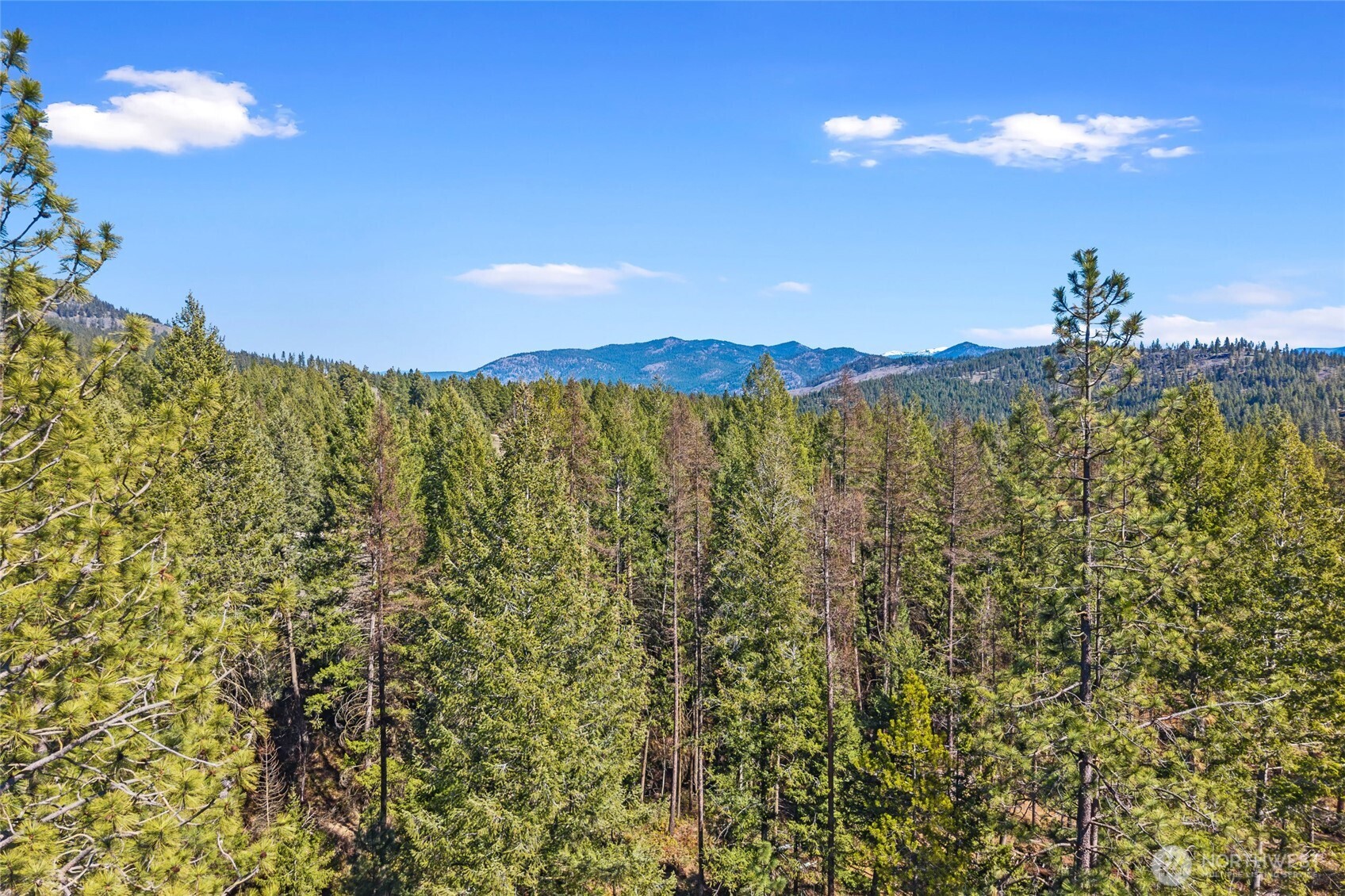 2068 Addy-gifford Road Property Photo 40