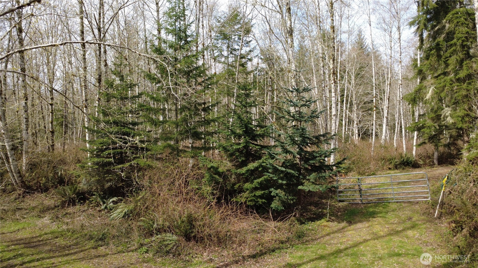 1 Xxxx Blacktail Court Property Photo 1