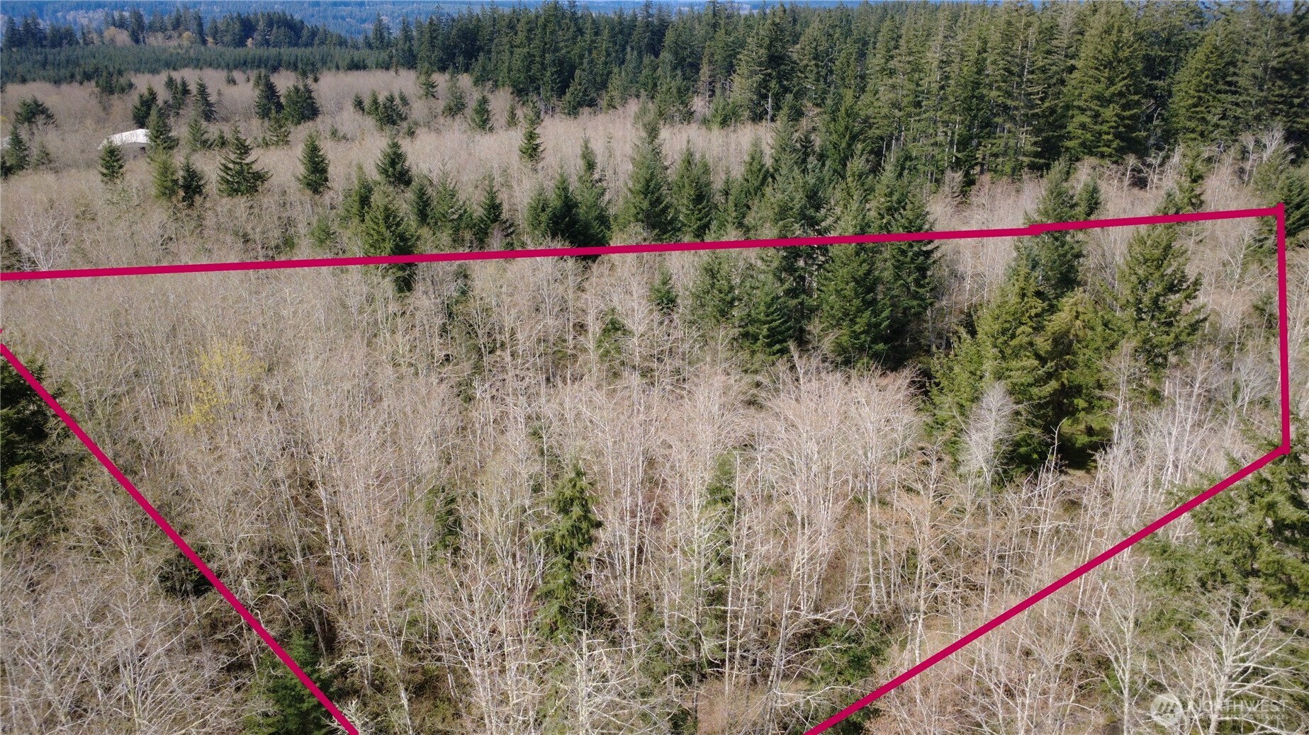 1 Xxxx Blacktail Court Property Photo 3