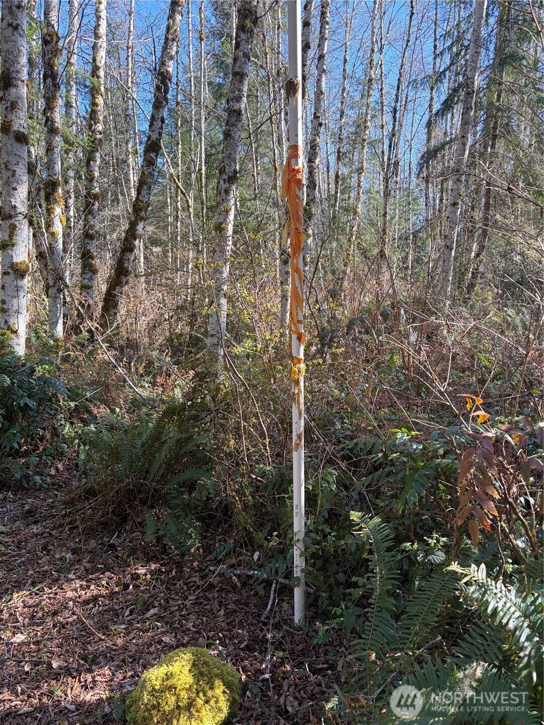 1 Xxxx Blacktail Court Property Photo 5
