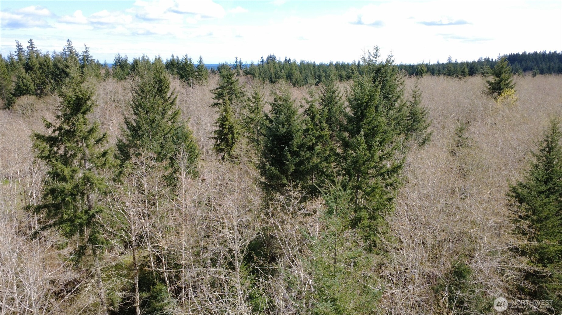 1 Xxxx Blacktail Court Property Photo 6