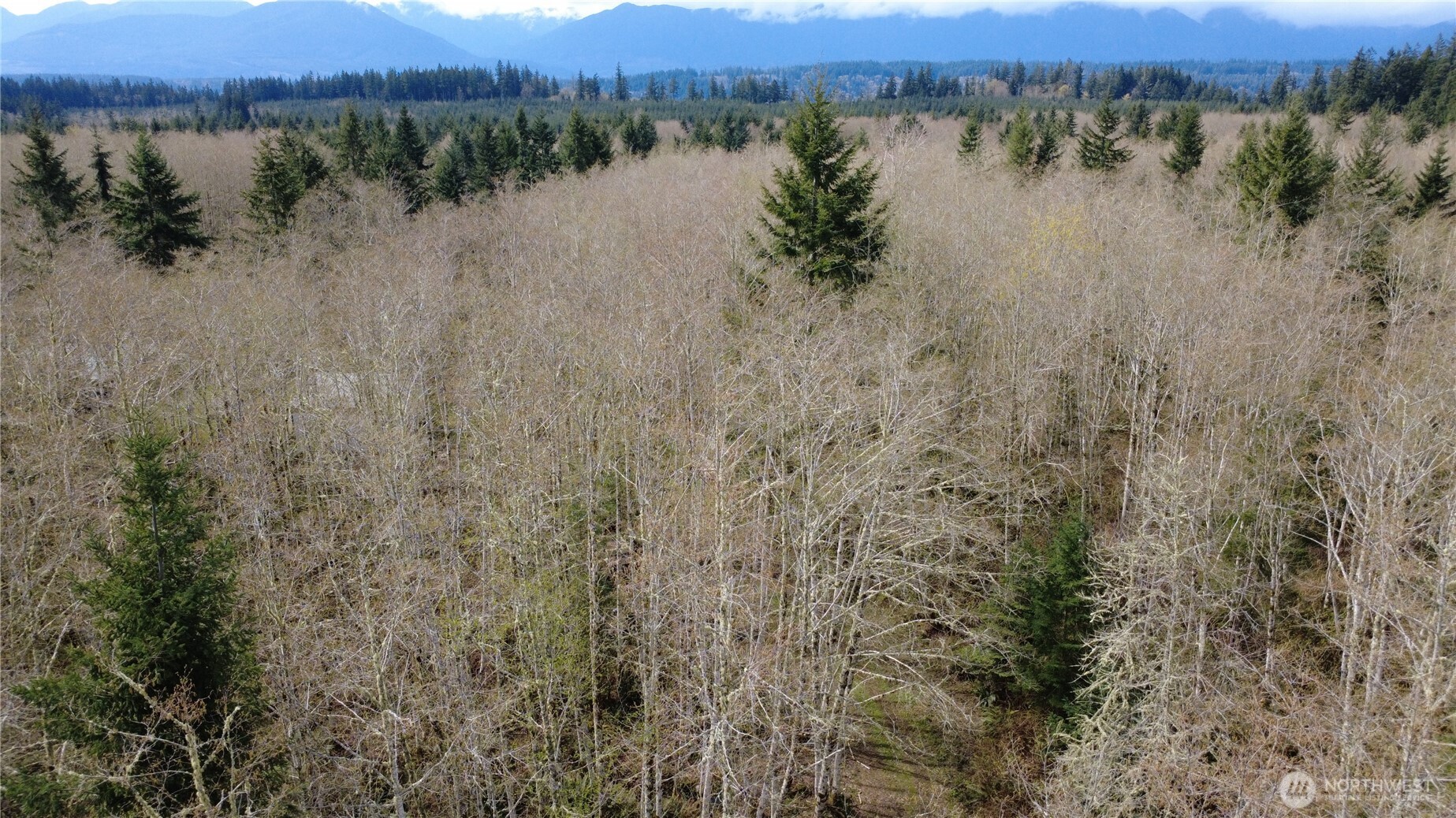 1 Xxxx Blacktail Court Property Photo 7